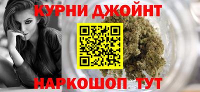 гидра Гусев