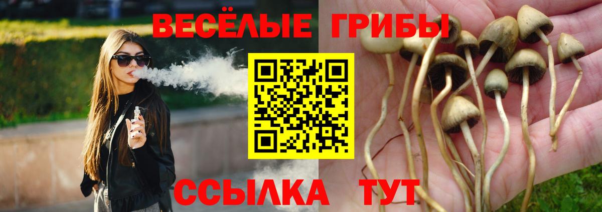 Луховицы  Галлюциногенные грибы Cubensis  Вход с VPN 